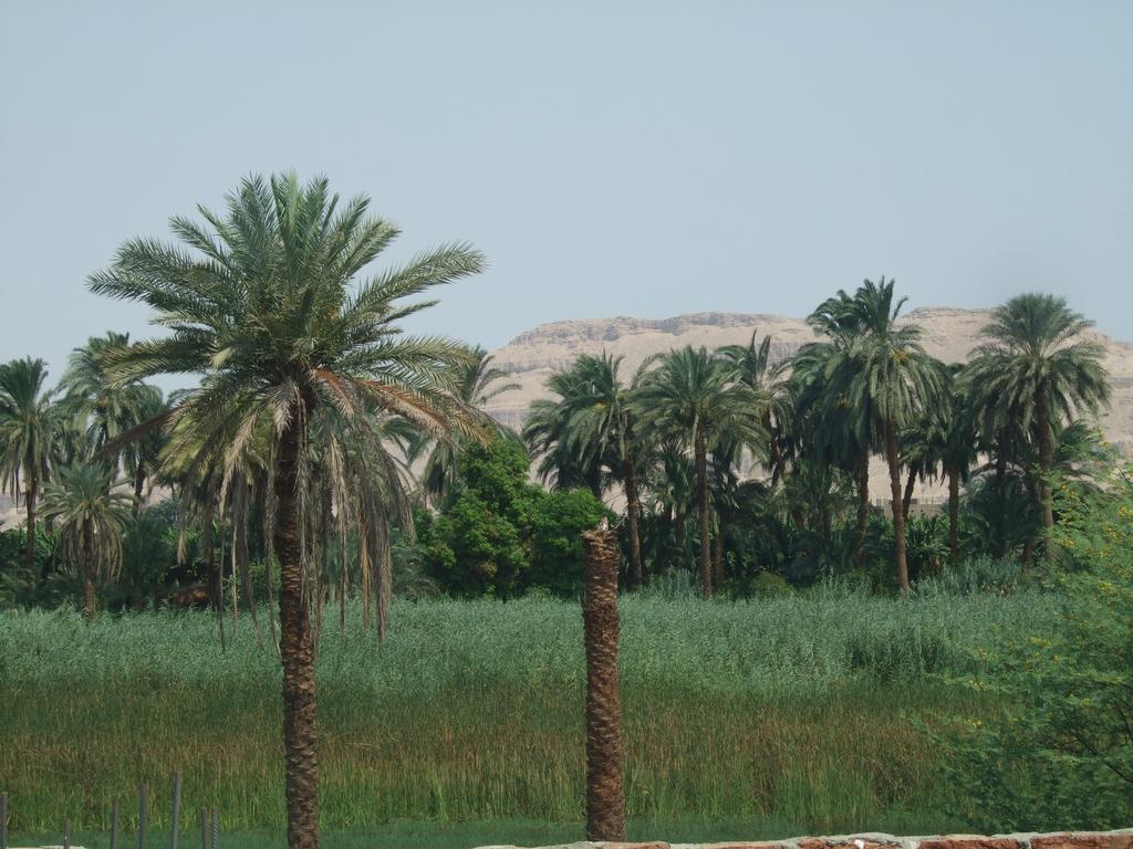 Luxor Palace Apartments Exterior photo