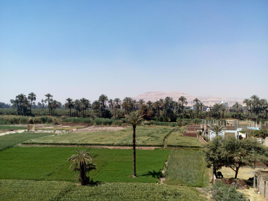Luxor Palace Apartments Exterior photo